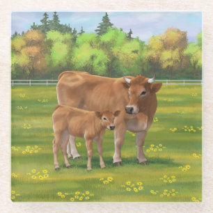 Aubrac Cow & Cute Calf in Spring Pasture Glass Coaster