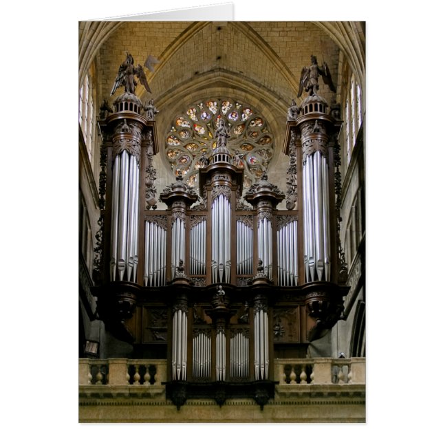 Auch Cathedral organ (Front)