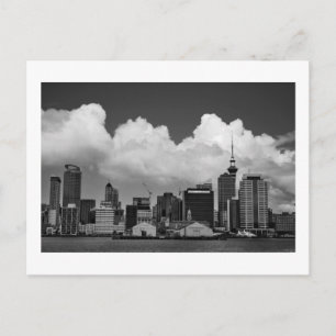 Auckland New Zealand Postcard