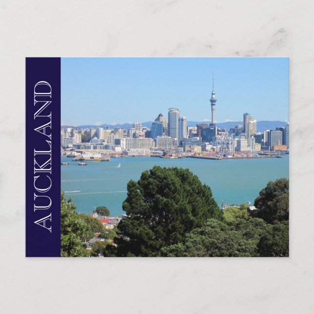 auckland nz skyline postcard (Front)