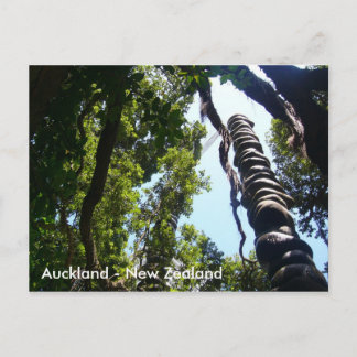 Auckland Post card