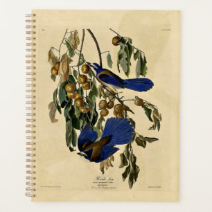 Audobon - Florida Jay, Planner