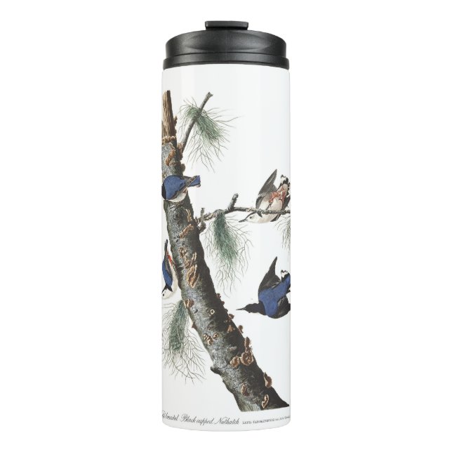 Audobon White-Breasted Nuthatch (Black capped) Thermal Tumbler (Front)