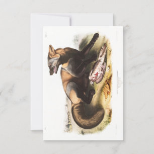 Audubon American Cross-Fox Portrait Invitation