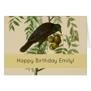 Audubon American Crow Black Bird