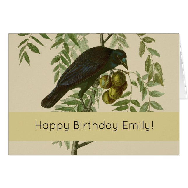 Audubon American Crow Black Bird (Front Horizontal)