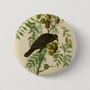 Audubon American Crow Black Bird 6 Cm Round Badge