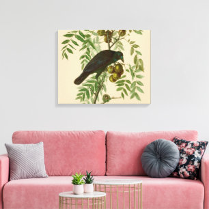 Audubon American Crow Black Bird Canvas Print