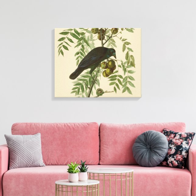 Audubon American Crow Black Bird Canvas Print (Insitu(LivingRoom))