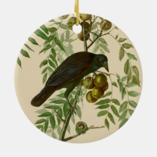 Audubon American Crow Black Bird Ceramic Tree Decoration