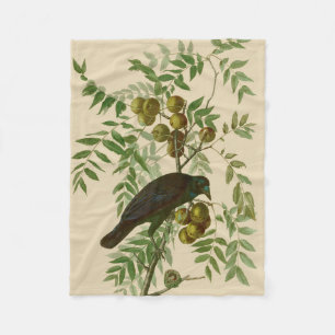Audubon American Crow Black Bird Fleece Blanket