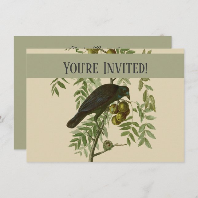 Audubon American Crow Black Bird Invitation (Front/Back)