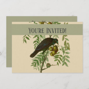 Audubon American Crow Black Bird Invitation