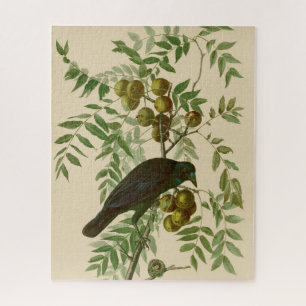 Audubon American Crow Black Bird Jigsaw Puzzle