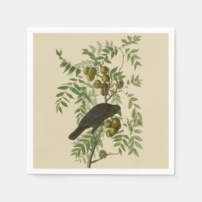 Audubon American Crow Black Bird Napkin (Front)