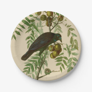 Audubon American Crow Black Bird Paper Plate