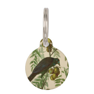 Audubon American Crow Black Bird Pet Tag