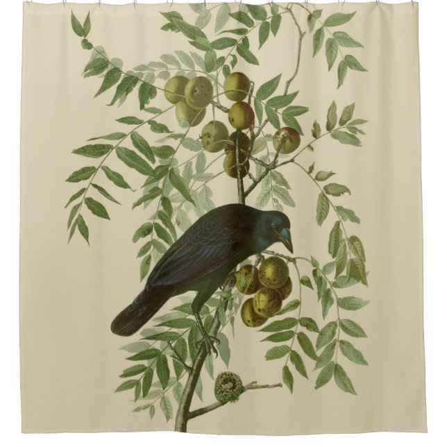 Audubon American Crow Black Bird Shower Curtain (Front)