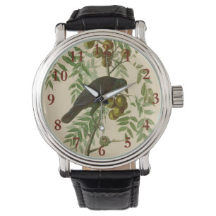 Audubon American Crow Black Bird Watch
