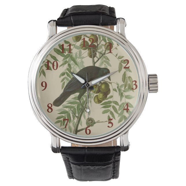 Audubon American Crow Black Bird Watch (Front)