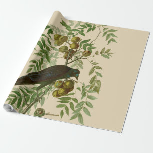 Audubon American Crow Black Bird Wrapping Paper