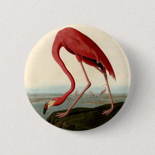 Audubon American Flamingo 6 Cm Round Badge