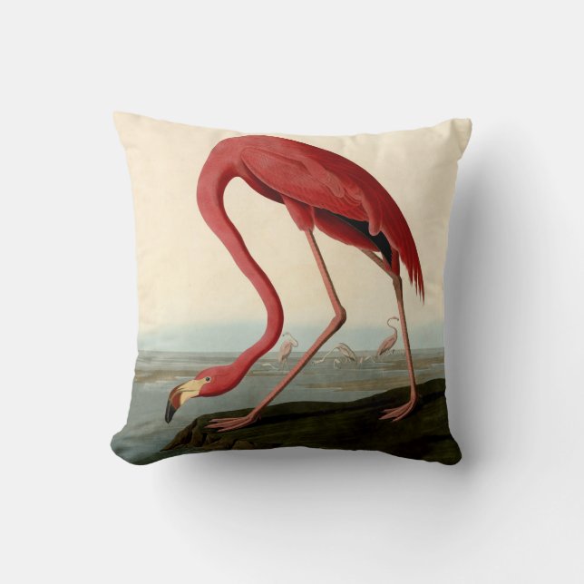 Audubon American Flamingo Cushion (Front)