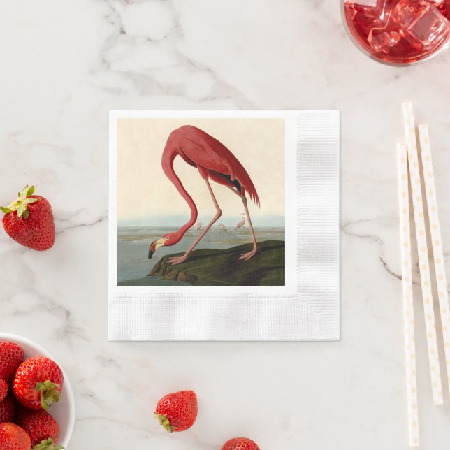 Audubon American Flamingo Napkin (Insitu)