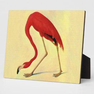 Audubon American Flamingo Painting Plaque