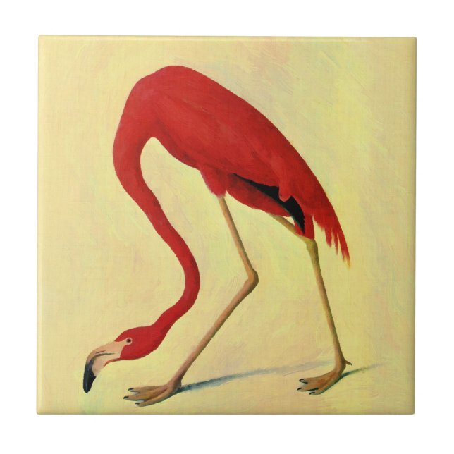 Audubon American Flamingo Painting Tile (Front)
