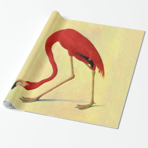 Audubon American Flamingo Painting Wrapping Paper