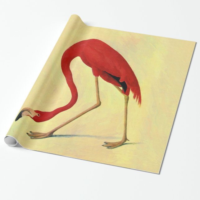 Audubon American Flamingo Painting Wrapping Paper (Unrolled)