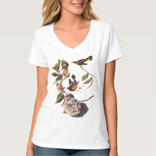 Audubon American Redstart Bird T-Shirt