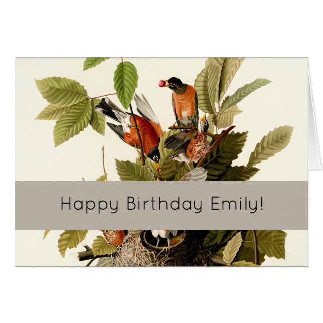 Audubon American Robin Wildlife Bird Illustration (Front Horizontal)