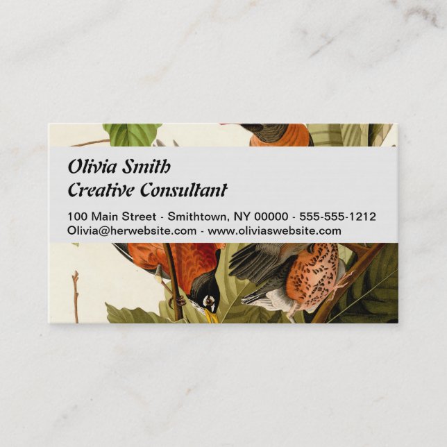 Audubon American Robin Wildlife Bird Illustration Business Card (Front)