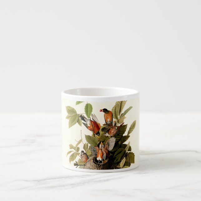 Audubon American Robin Wildlife Bird Illustration Espresso Cup (Front)