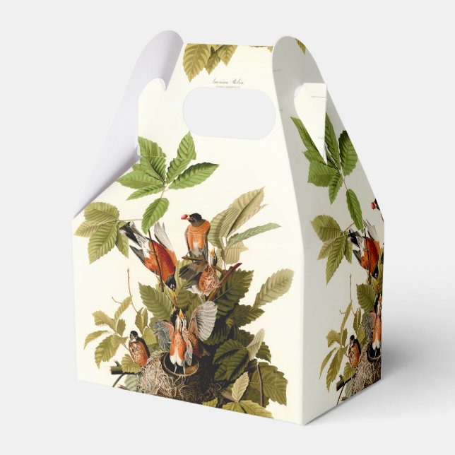 Audubon American Robin Wildlife Bird Illustration Favour Box (Front Side)