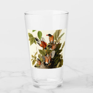 Audubon American Robin Wildlife Bird Illustration Glass