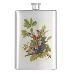 Audubon American Robin Wildlife Bird Illustration Hip Flask
