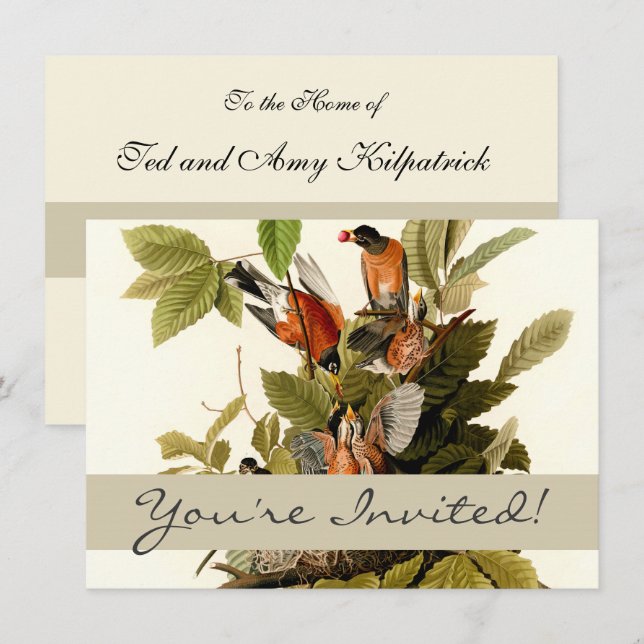 Audubon American Robin Wildlife Bird Illustration Invitation (Front/Back)