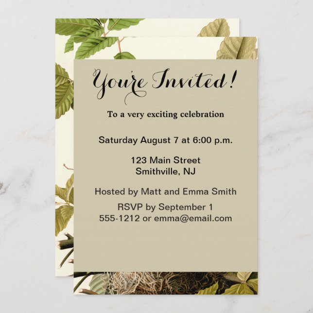 Audubon American Robin Wildlife Bird Illustration Invitation (Front/Back)