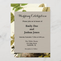 Audubon American Robin Wildlife Bird Illustration