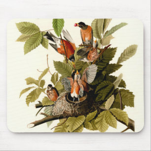 Audubon American Robin Wildlife Bird Illustration Mouse Mat
