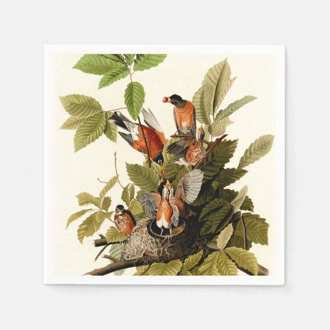 Audubon American Robin Wildlife Bird Illustration Napkin (Front)