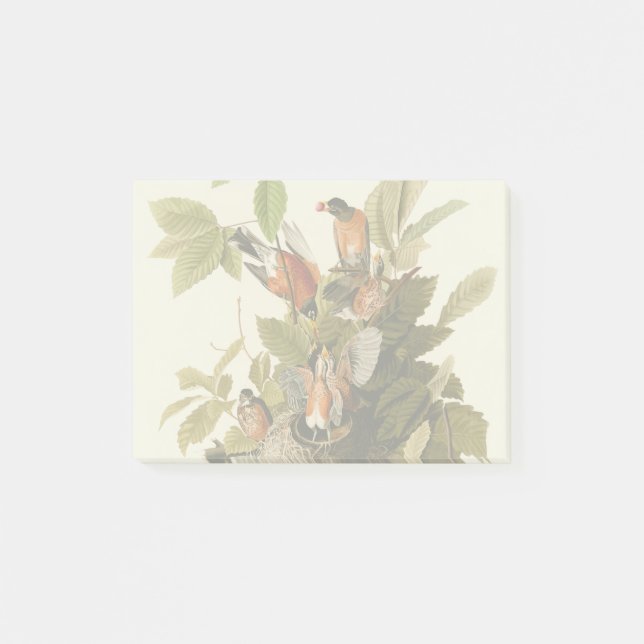 Audubon American Robin Wildlife Bird Illustration Post-it Notes (Front)