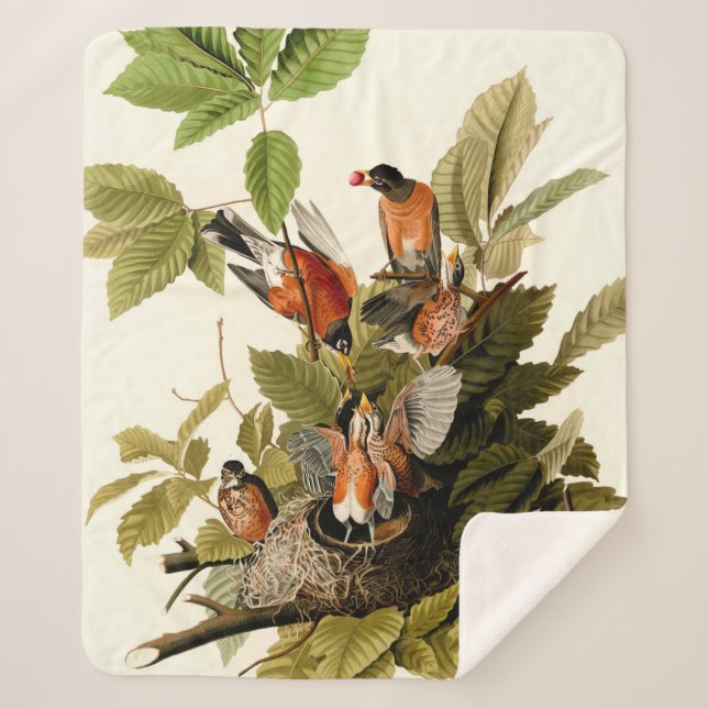 Audubon American Robin Wildlife Bird Illustration Sherpa Blanket (Front)