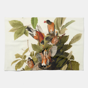 Audubon American Robin Wildlife Bird Illustration Tea Towel
