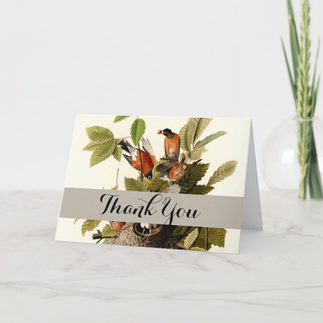 Audubon American Robin Wildlife Bird Illustration Thank You Card (Front)
