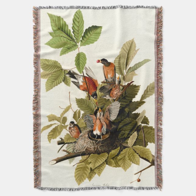 Audubon American Robin Wildlife Bird Illustration Throw Blanket (Front Vertical)