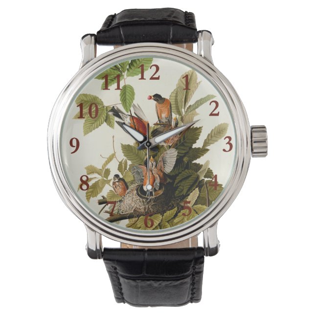 Audubon American Robin Wildlife Bird Illustration Watch (Front)